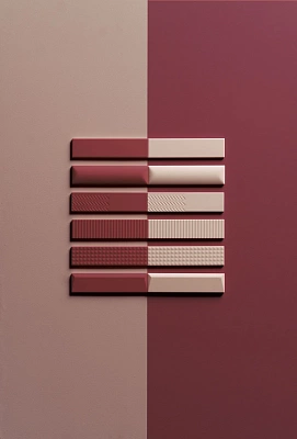 Biscuit-10
